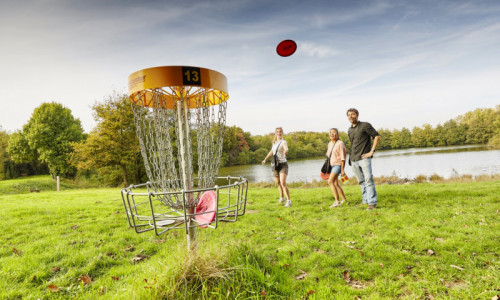 Disc-Golf-