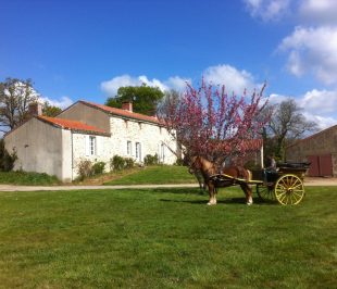 Gîte de la Dodinière