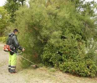Recrutement d’un saisonnier pour le service Espaces Verts des Services Techniques