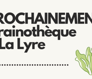GRAINOTHÈQUE : Prochainement troc de graines